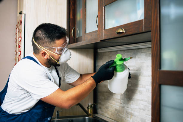 Best Wildlife Control Services  in South Lancaster, MA