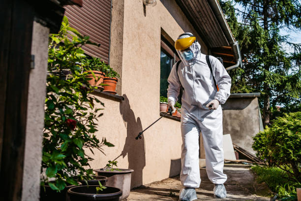 Best Mosquito Control Services  in South Lancaster, MA