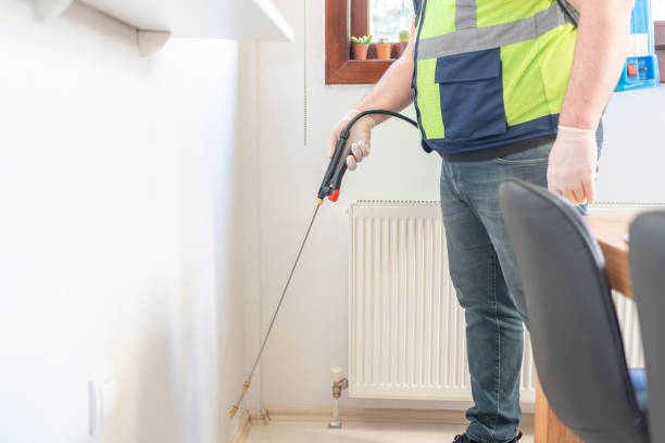 Best Pest Control Near Me  in South Lancaster, MA