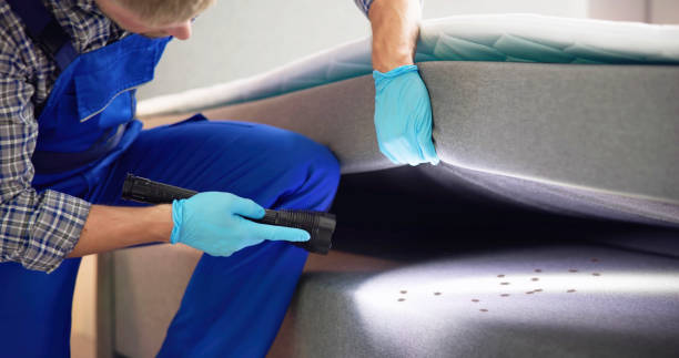 Best Commercial Pest Control Services  in South Lancaster, MA