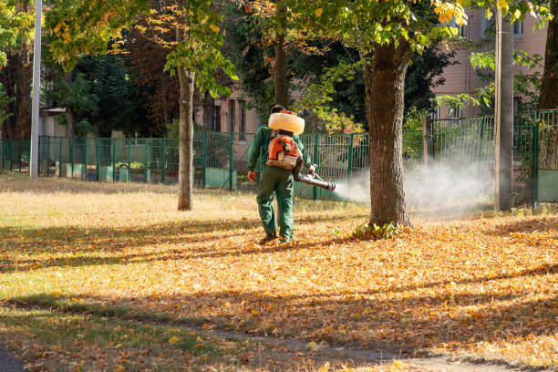 Best Spider Control Near Me  in South Lancaster, MA
